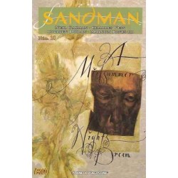 SANDMAN Nº 10