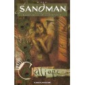 SANDMAN Nº 9