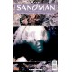 SANDMAN Nº 8