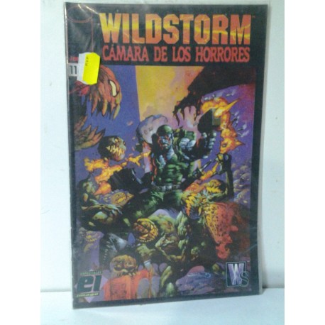 IMAGE ESPECIAL Nº 11 WILDSTORM