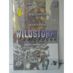IMAGE ESPECIAL Nº 7 WILDSTORM POSTERBOOK