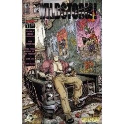 WILDSTORM Nº 1