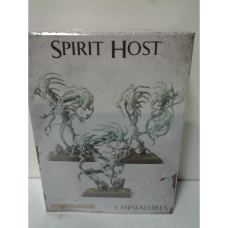 SPIRIT HOST