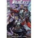 WILDCATS VOL.1 Nº 17