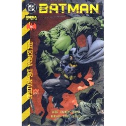 BATMAN: TIERRA DE NADIE Nº 16