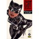 CATWOMAN: EL LADO OSCURO DE LA CALLE