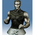 COLOSSUS BUST
