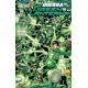 GREEN LANTERN Nº 19 LA GUERRA DE LOS GREEN LANTERNS