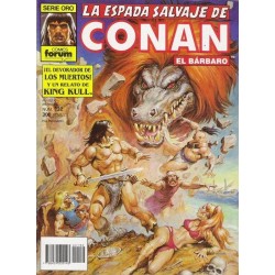 LA ESPADA SALVAJE DE CONAN Nº 132