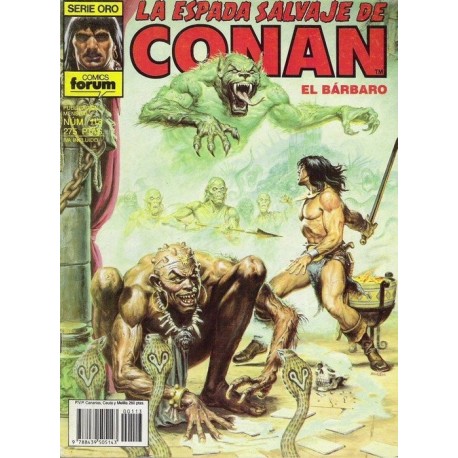 LA ESPADA SALVAJE DE CONAN Nº 113