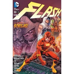 FLASH Nº 4