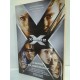 X-MEN 2 (NOVELA)