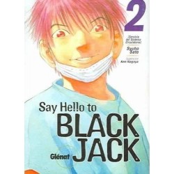 SAY HELLO TO BLACK JACK Nº 2