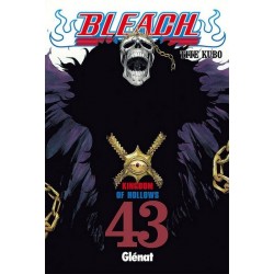 BLEACH Nº 43