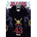 BLEACH Nº 43