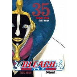 BLEACH Nº 35