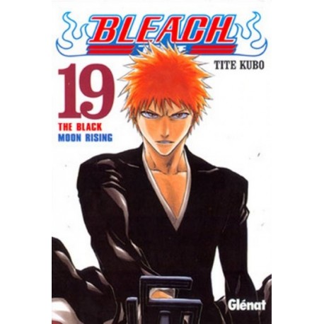 BLEACH Nº 19