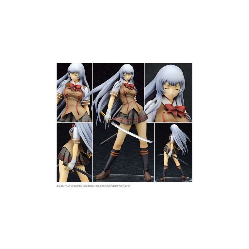 Alter Ikki Tousen Dragon Destiny Shiryu Chouun 1/8 Pvc Figure F/s