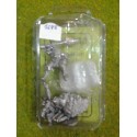 GOBLIN SPIDER RIDER SPEARMEN B (CON LANZA)