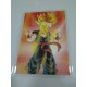 DRAGON BALL RAMI CARD Nº 118