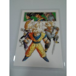 DRAGON BALL RAMI CARD Nº 49