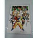 DRAGON BALL RAMI CARD Nº 49