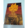 DRAGON BALL RAMI CARD Nº 19