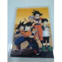 DRAGON BALL RAMI CARD Nº 16