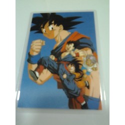 DRAGON BALL RAMI CARD Nº 75