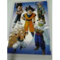 DRAGON BALL RAMI CARD Nº 131