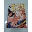 DRAGON BALL RAMI CARD Nº 112