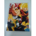 DRAGON BALL RAMI CARD Nº 100