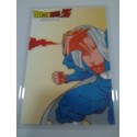 DRAGON BALL RAMI CARD Nº 76