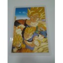 DRAGON BALL RAMI CARD Nº 62