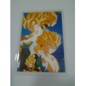 DRAGON BALL RAMI CARD Nº 55