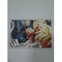 DRAGON BALL RAMI CARD Nº 41