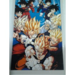 DRAGON BALL RAMI CARD Nº 40