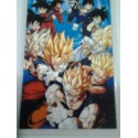 DRAGON BALL RAMI CARD Nº 40