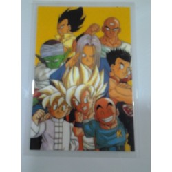 DRAGON BALL RAMI CARD Nº 34