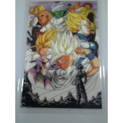 DRAGON BALL RAMI CARD Nº 22