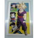 DRAGON BALL RAMI CARD Nº 14