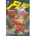 FLASH Nº 8