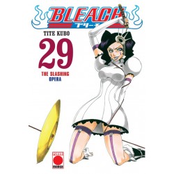 BLEACH Nº 29