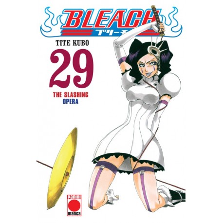 BLEACH Nº 29