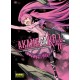 AKAME GA KILL! Nº 10