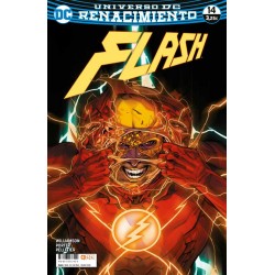 FLASH Nº 28 / 14 RENACIMIENTO