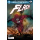 FLASH Nº 29 / 15 RENACIMIENTO