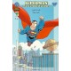 SUPERMAN. LAS CUATRO ESTACIONES 