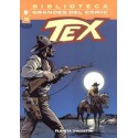 TEX 10