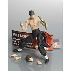 STREET FIGHTER FEI LONG 